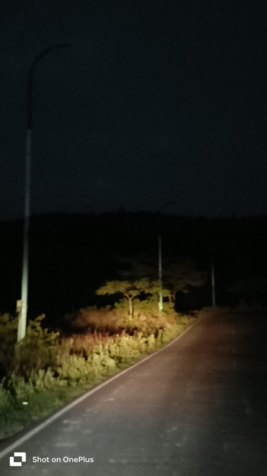 चिरमिरी में स्ट्रीट लाइट समस्या: आखिर कब होगा समाधान?