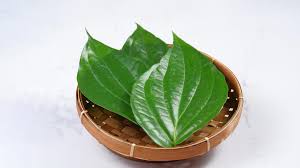 सुबह -सुबह बस खा लें ये हरा पत्ता फिर देखें कमाल,कई परेशानियों से दिलाएगा छुटकारा 