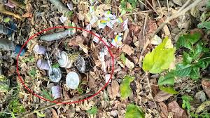 नक्सली साजिश नाकाम, माओवादियों का बम बरामद