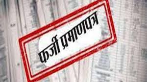 पूर्व सरपंचों ने सरपंच पर फर्जी प्रमाणपत्र के आधार पर चुनाव लड़ने व निर्वाचित होने का लगाया आरोप,SDM से शिकायत