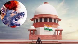 SC on Stray Dog : सुप्रीम कोर्ट ने आवारा कुत्तों पर सुनवाई कर फैसला सुरक्षित रखा