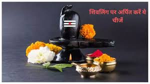 प्रदोष व्रत के दिन शिवलिंग पर क्या चढ़ाए? ऐसे करें महादेव को प्रसन्न 