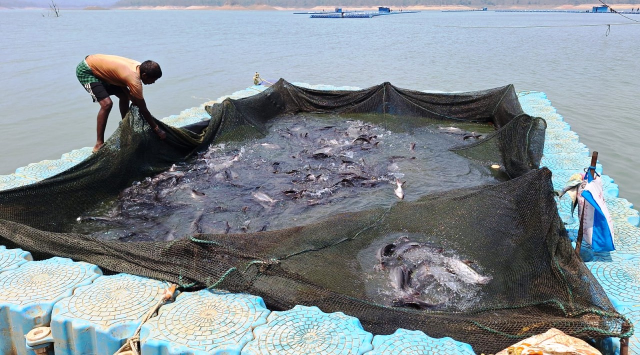 हसदेव डुबान में बनेगा पहला एक्वा पार्क : छत्तीसगढ़ में फिशरीज के नये युग की शुरूआत