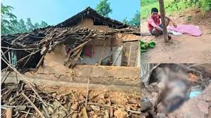 मादा हाथी और शावक का तांडव जारी:  2 दिन में ली तीन की जान,मौतों से दहशत में हैं क्षेत्रवासी