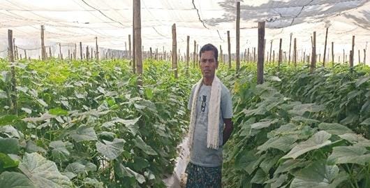 बंदूक की गूंज से फलों और फूलों की महक तक का सफर