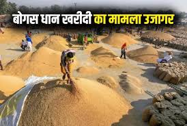 खरीदी केंद्र बना भ्रष्टाचार का अड्डा : महासमुंद में बोगस धान खरीदी का खुलासा, 46 लाख से अधिक का घोटाला