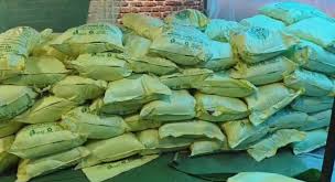 किसानों को ठगने की साजिश: अंबिकापुर में नकली धान और मक्का बीज के अवैध कारोबार का सनसनीखेज खुलासा