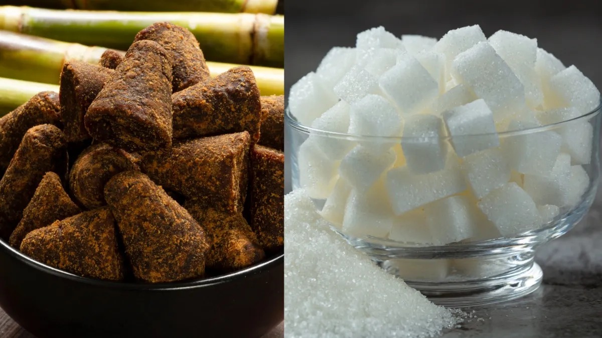 चीनी बनाम गुड़: वजन घटाने के लिए कौन है बेहतर? जानें विशेषज्ञों की राय