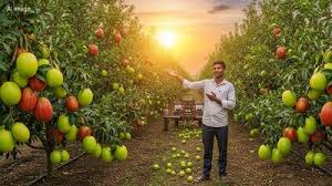 यूट्यूब बना गुरु, बेर बनी किस्मत,जानें “कलेक्टर” से किसान बनने तक का सफर