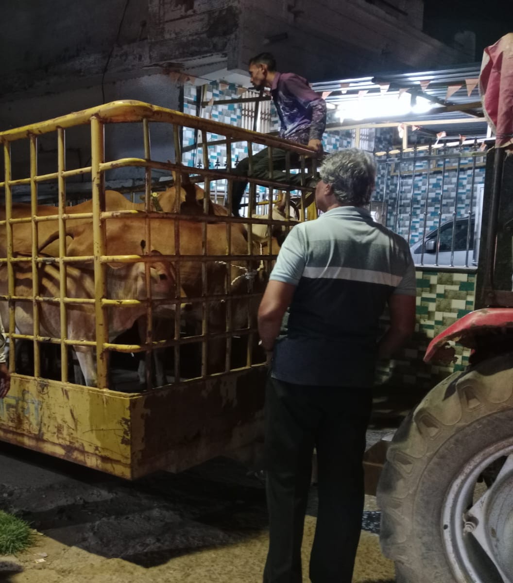 पशुओं को खुले में छोड़ने पर पशु मालिको के विरुद्ध होगी कड़ी कार्रवाई लगेगा जुर्माना