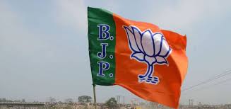 बिहार चुनाव को लेकर बीजेपी ने जारी की उम्मीदवारों की पहली लिस्ट,जानिए किसे कहां से मिला टिकट