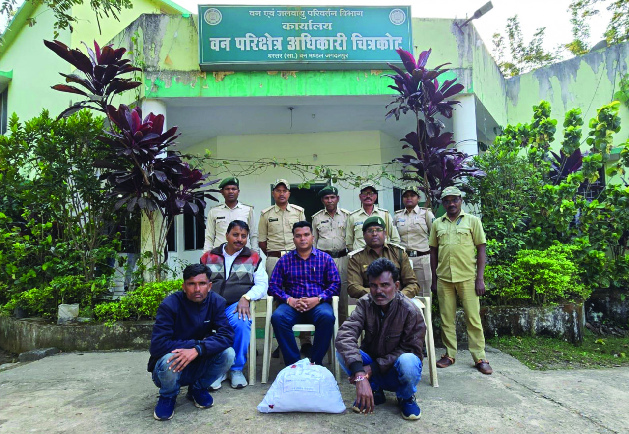 पेंगोलिन तस्करों पर कसा शिकंजा, तीन तस्कर पकड़ाए