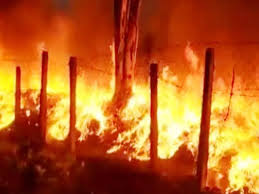  खेत में रखे धान को जलाने वाले तीन आरोपियों को पुलिस ने किया गिरफ्तार 