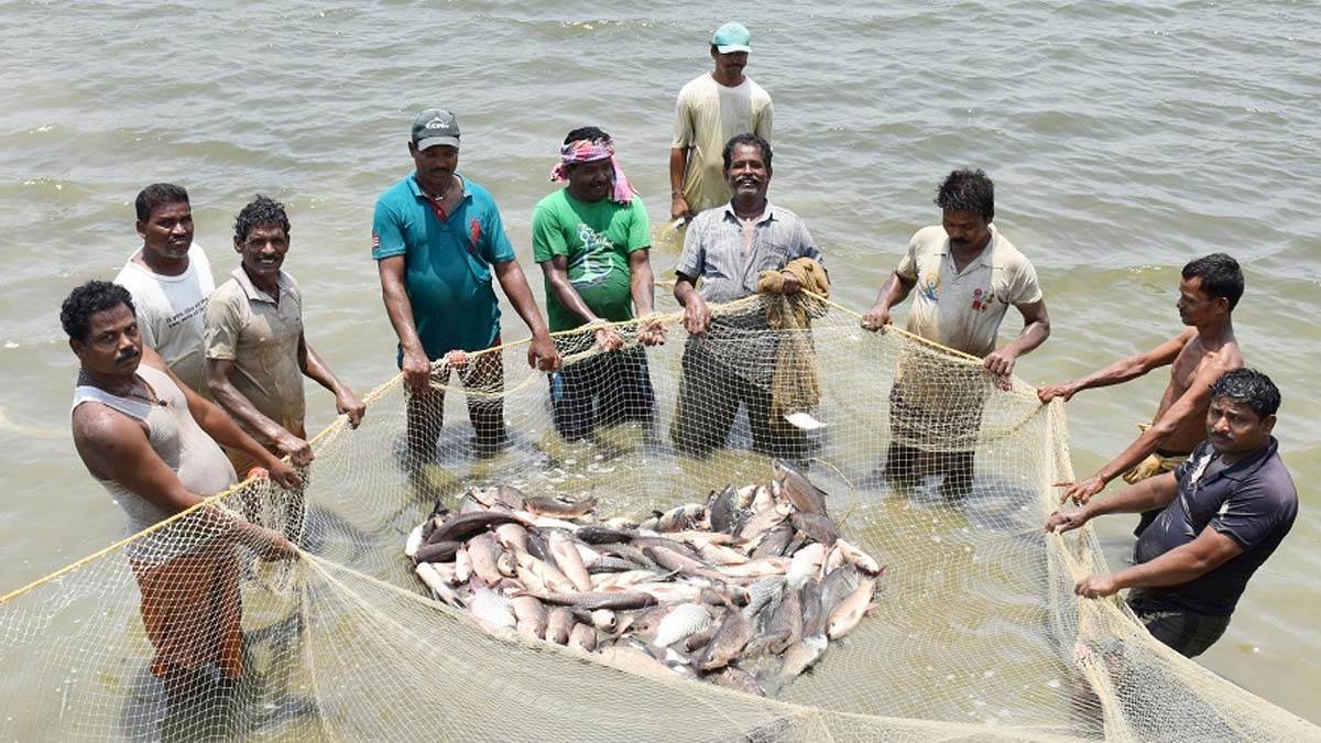 ‘नीली क्रांति’ से समृद्धि की ओर: मछली पालन बना ग्रामीण विकास, रोजगार और आत्मनिर्भरता का नया आधार  