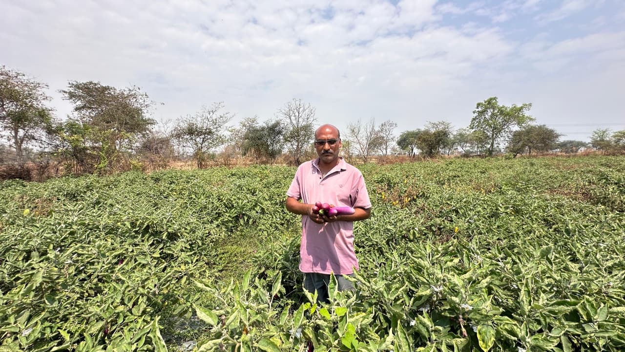 किसान हितैषी योजनाओं से आत्मनिर्भर बने संजय साहू, नवाचार से बदल दी खेती की तस्वीर