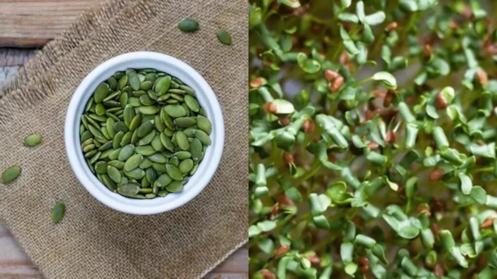  चमत्कारी और प्राकृतिक उपाय : अस्थमा से लेकर किडनी तक सभी समस्याओं से निजात दिलाएगा ये छोटी सी हरी बीज