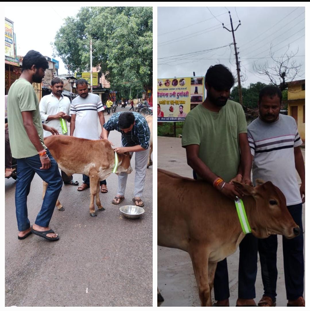 विहिप - बजरंग दल ने पहनाई गौवंशों को को रेडियम पट्टी 