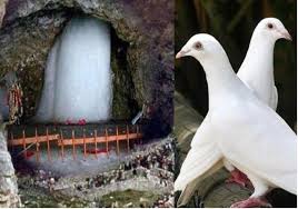 अमरनाथ गुफा का रहस्य: दो कबूतरों का चमत्कारी संबंध, दर्शन मात्र से मिल सकता है मोक्ष

