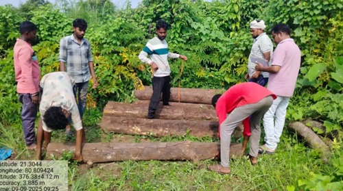 अवैध सागौन कटाई और परिवहन पर वन विभाग की बड़ी कार्रवाई, बोलेरो जब्त, 8 आरोपियों के खिलाफ केस दर्ज
