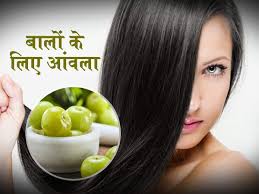जाने आंवला बालों के लिए कितना उपयोगी औषधि है,जो आपके बालों को बनाए घना,मोटा, काला और चमकदार..