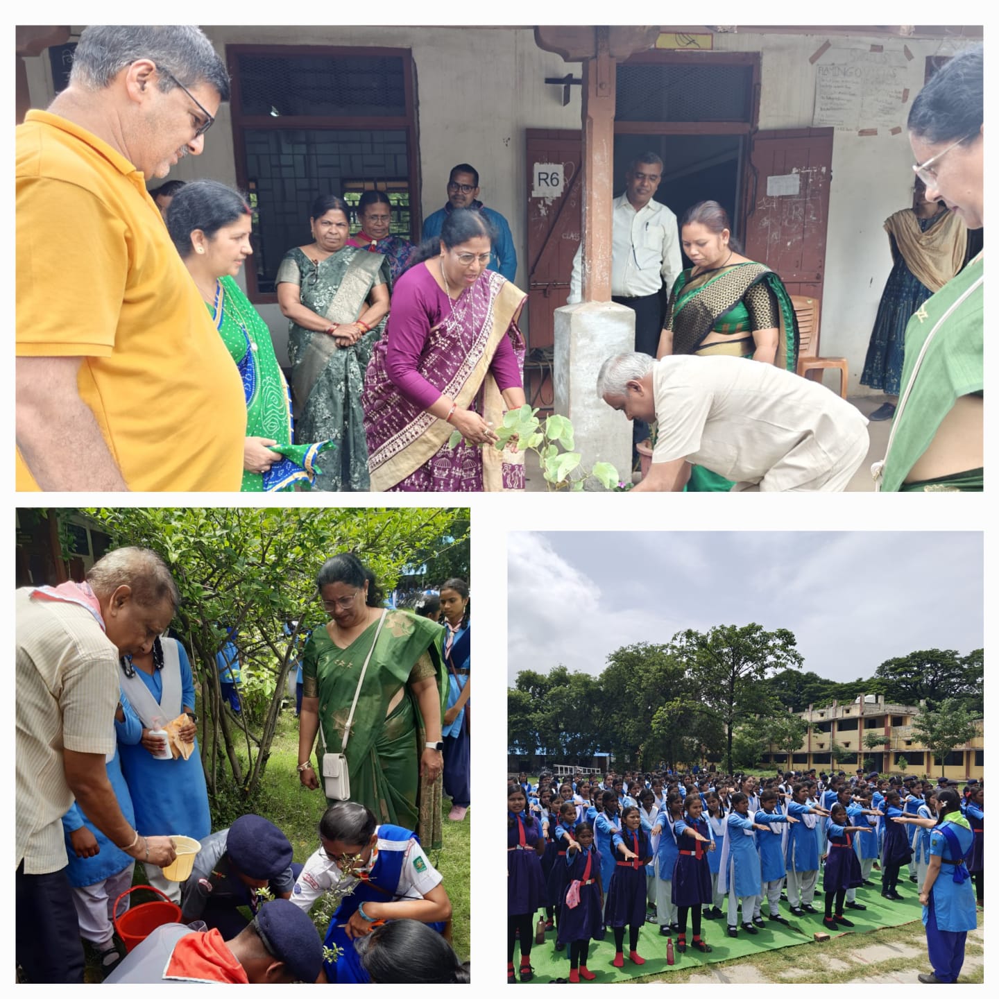 भारत स्काउट गाइड्स द्वारा महरानी लक्ष्मीबाई स्कूल में वृहद वृक्षारोपण कार्यक्रम आयोजित