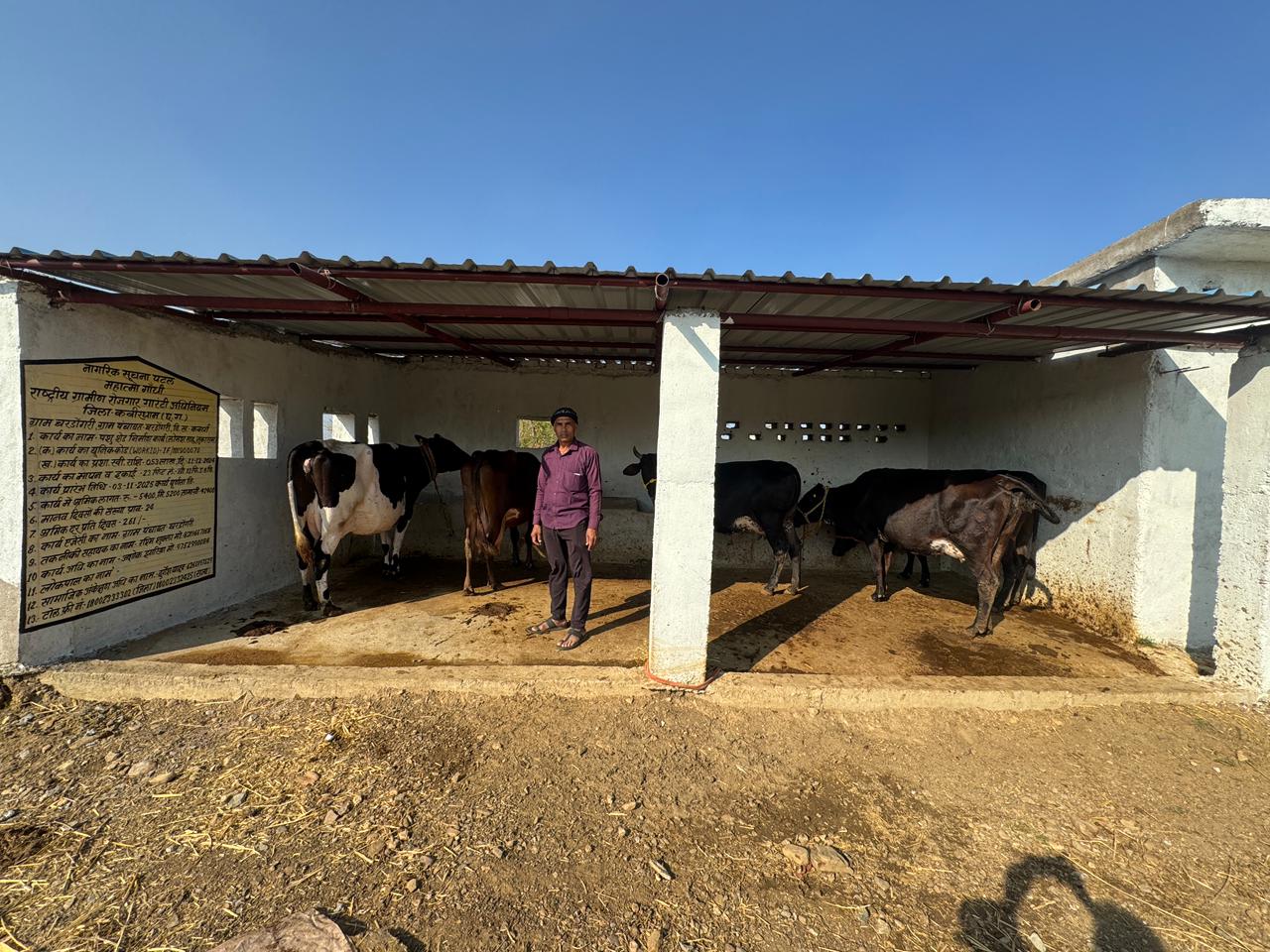 महात्मा गांधी नरेगा योजना ने खोले आजीविका के नए रास्ते, पशु शेड बना तरक्की का आधार