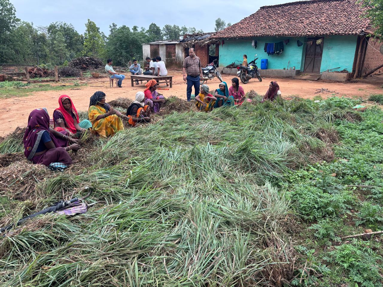 लेमन ग्रास की खुशबू से महकेगा समूह की महिलाओं का भविष्य