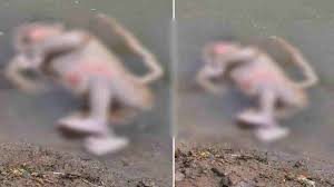 मानवता को झकझोर देने वाली घटना,तालाब में नवजात शिशु का शव मिलने से क्षेत्र में फैली सनसनी