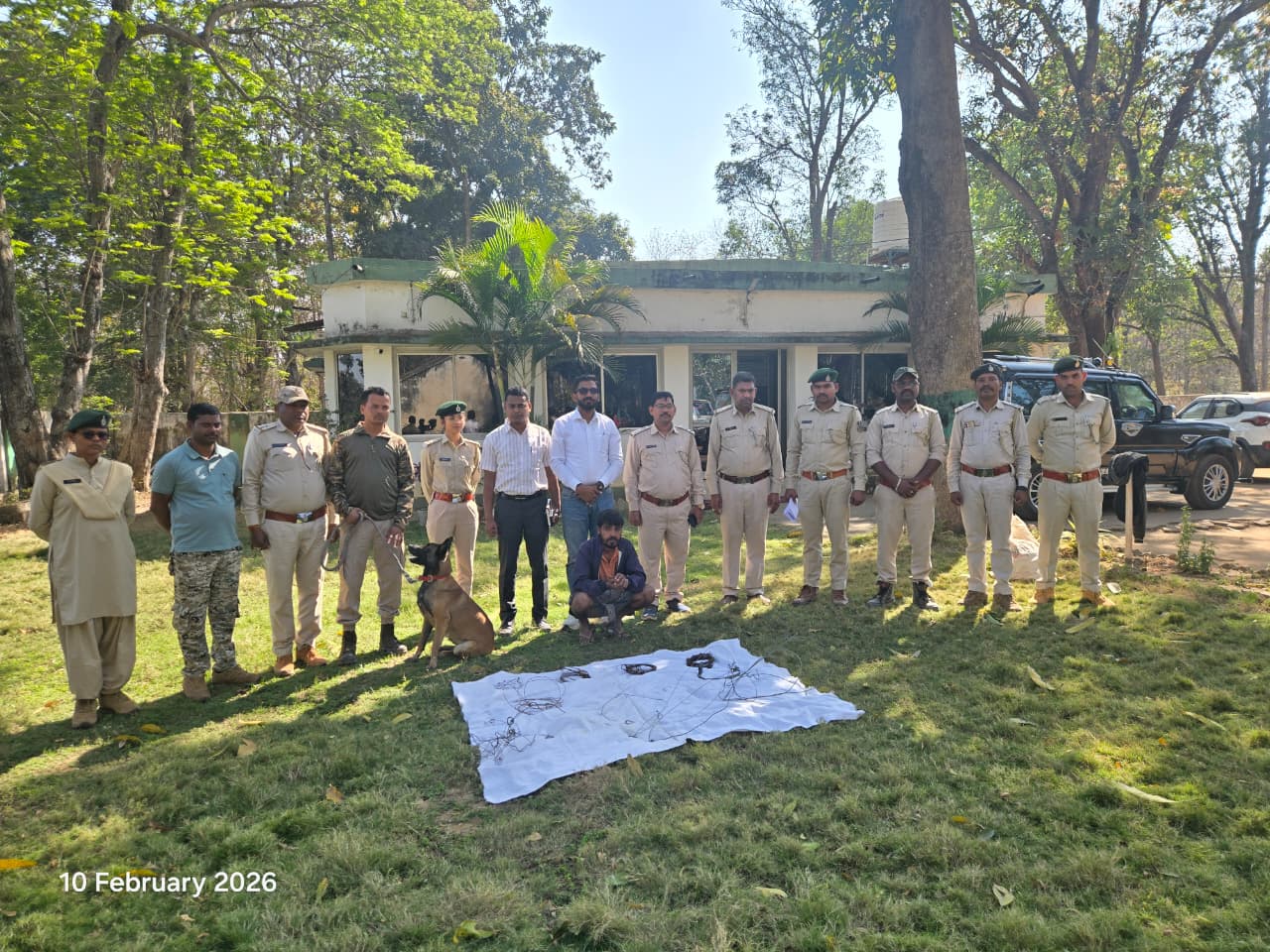 कटघोरा वनमंडल की सतर्कता से तेंदुए का सफल रेस्क्यू और शिकारी गिरफ्तार