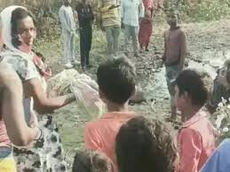 झाड़ियों में मिली नवजात बच्ची, अब हुआ पूरा खुलासा