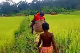 जशपुर जिले में खुली विकास के दावों की पोल!सर्पदंश पीड़िता को पीठ पर लादकर 5 किलोमीटर पैदल चली महिला