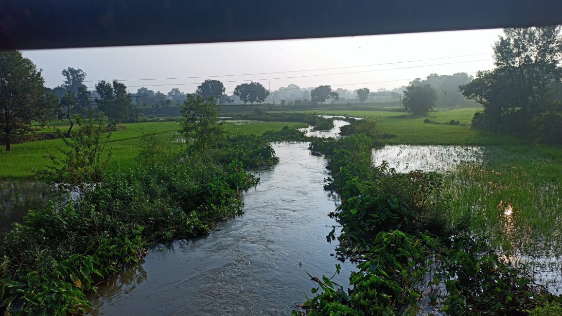 बाढ़ के कहर से बच ना सके कछारी खेत के फसल किसानों के आंख से छलक पड़े बेबसी के आंसू 