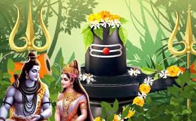 इस दिन रखा जायेगा हरियाली तीज का व्रत, नोट कीजिए जरूरी सामान की लिस्ट..जानें पूजा विधि  