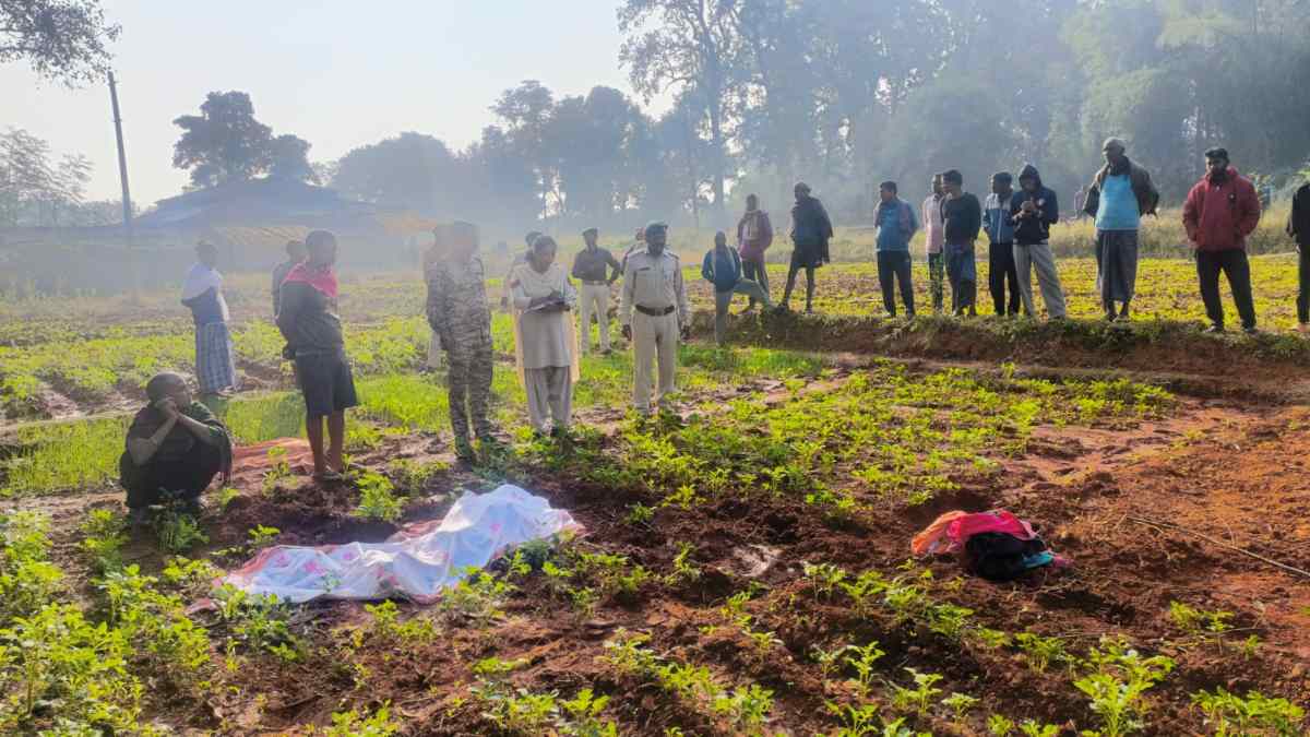  हाथी ने महिला को पटक-पटककर उतारा मौत के घाट, दहशत में ग्रामीण