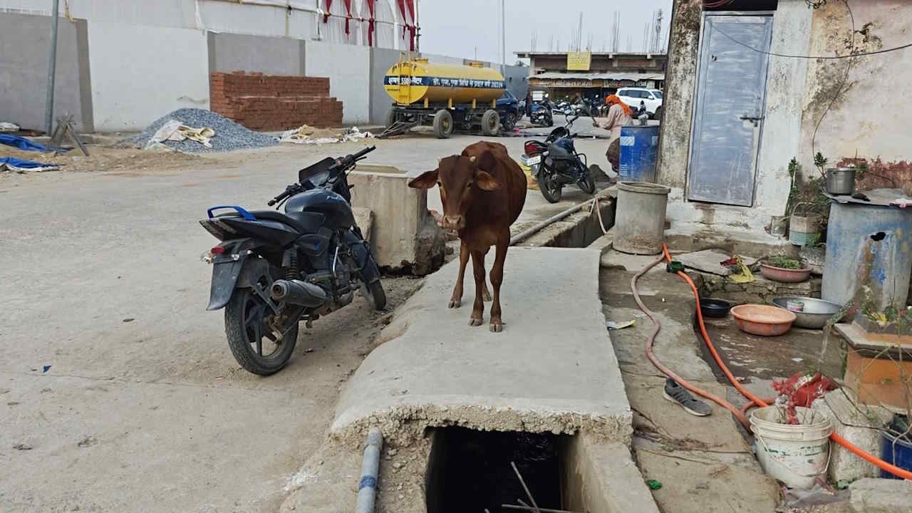 PWD की लापरवाही से खतरे में जान, लोरमी में खुली नालियां बनी मुसीबत