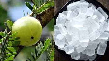 आंवला और मिश्री का साथ: इम्युनिटी से लेकर पाचन तक मिलेंगे जबरदस्त फायदे