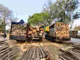 दुर्ग में अवैध काष्ठ परिवहन पर बड़ी कार्रवाई, चार वाहन जब्त