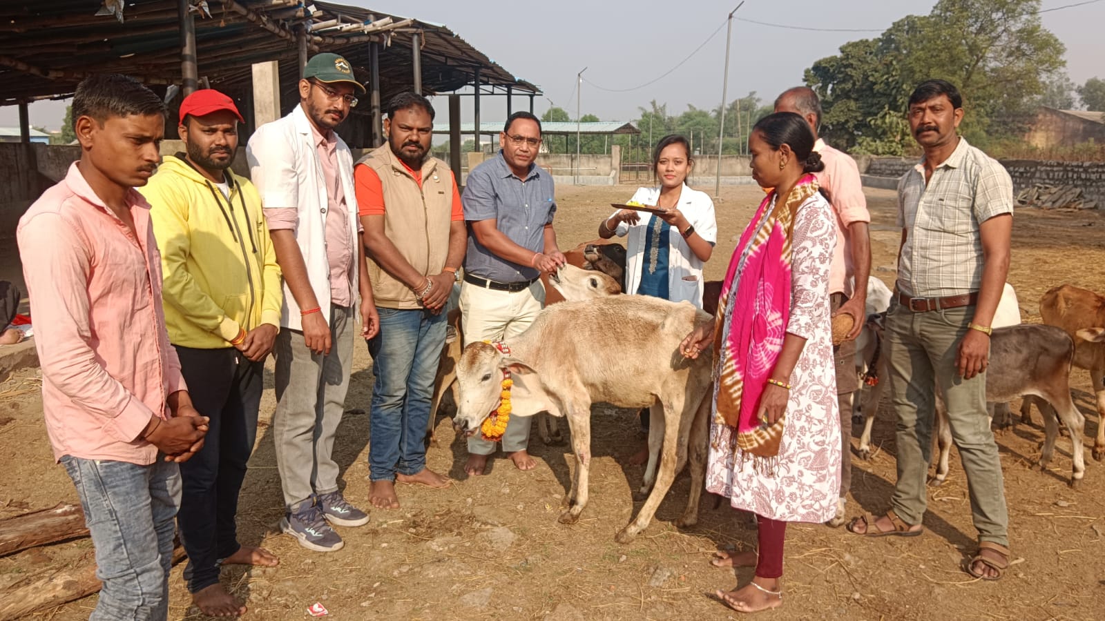 गौ पूजन एवं सोसायटी में किसानों का सम्मान कर मनाया जा रहा है सरकार का गठन का उत्सव