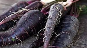 सेहत के लिए बेहद ही फायदेमंद है काली गाजर,घर में इस तरह उगाएं