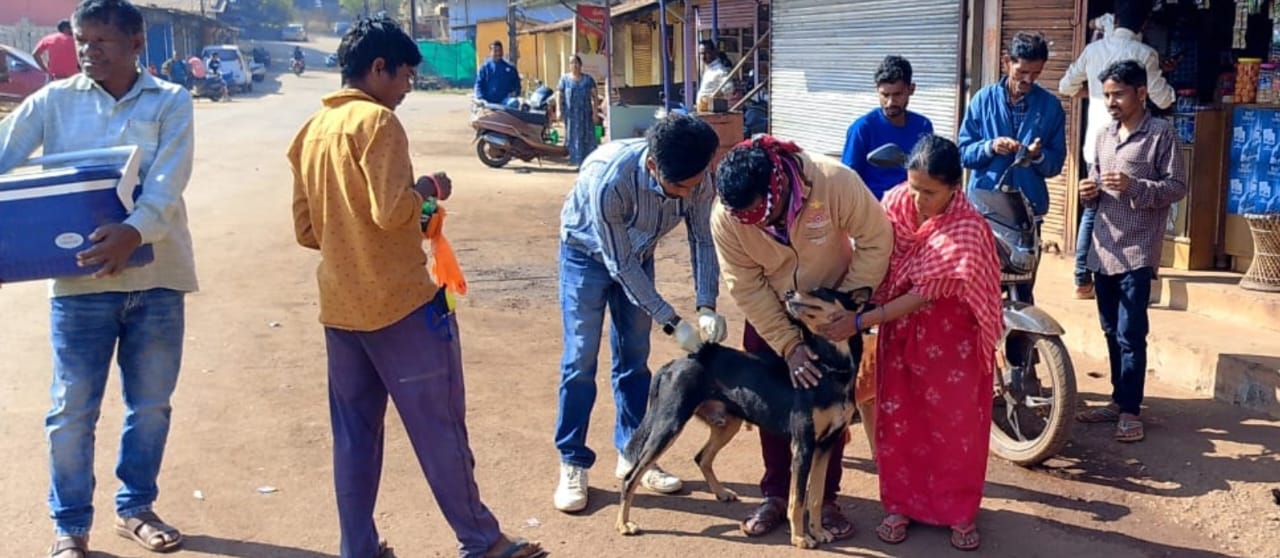 किरंदुल में आवारा कुत्तों का एंटी-रेबीज वैक्सीनेशन अभियान तेज, अब तक 50 कुत्तों को लगी वैक्सीन