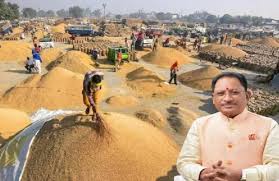 छत्तीसगढ़ में अब तक 20.54 लाख मीट्रिक टन धान की हुई खरीदी