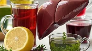 लिवर को हेल्दी रखेंगे ये 5 नेचुरल ड्रिंक,आज ही डाईट में करें शामिल 