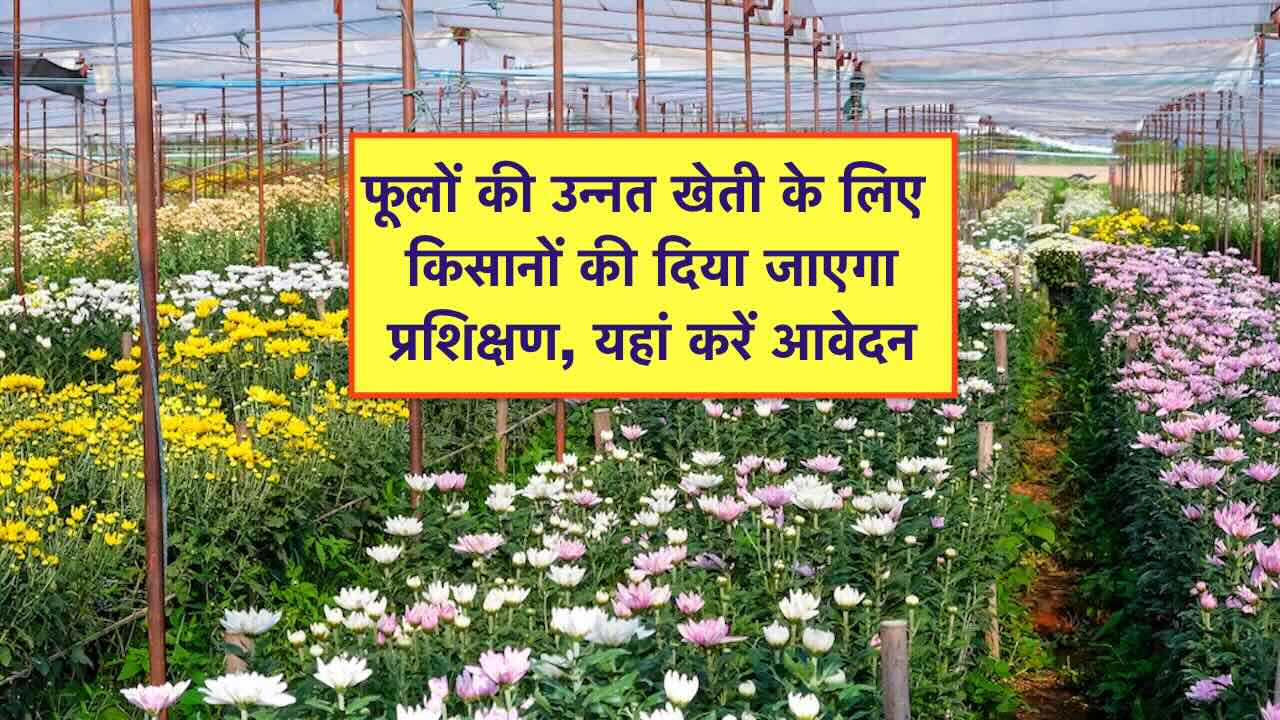 प्रशिक्षण लेकर हरियाणा के किसान करेंगे फूलों का उत्पादन