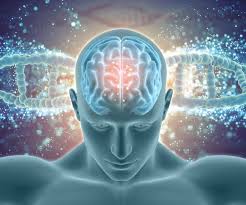 दिल ही नहीं दिमाग का भी दुश्मन है फैट:शरीर में लिपिड का असंतुलन आपको बना सकता है पार्किंसंस का शिकार  