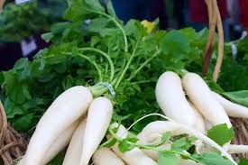 किसान भाई मूली की इस किस्म की करें खेती, 30 दिनों में हो जाएगी तैयार,मुनाफा होगा तगड़ा 