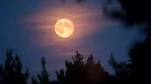 साल की पहली पूर्णिमा पर जरुर करें ये काम,बरसेगी मां लक्ष्मी की कृपा