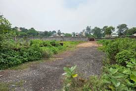 अवैध प्लॉटिंग का खेल : भूमाफिया नियमों को दरकिनार कर आसानी से प्लॉट काटकर बेच रहे