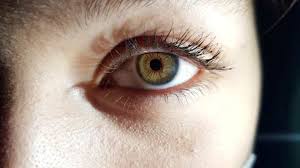  आंखों को सेहतमंद रखना है तो पिएं ये हेल्दी ड्रिंक्स,जानें सेवन का सही तरीका 