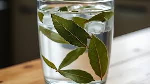 सिर्फ शुगर ही नहीं, रात में तेजपत्ते का पानी पीने से मिलेंगे कई और बेहतरीन फायदे 