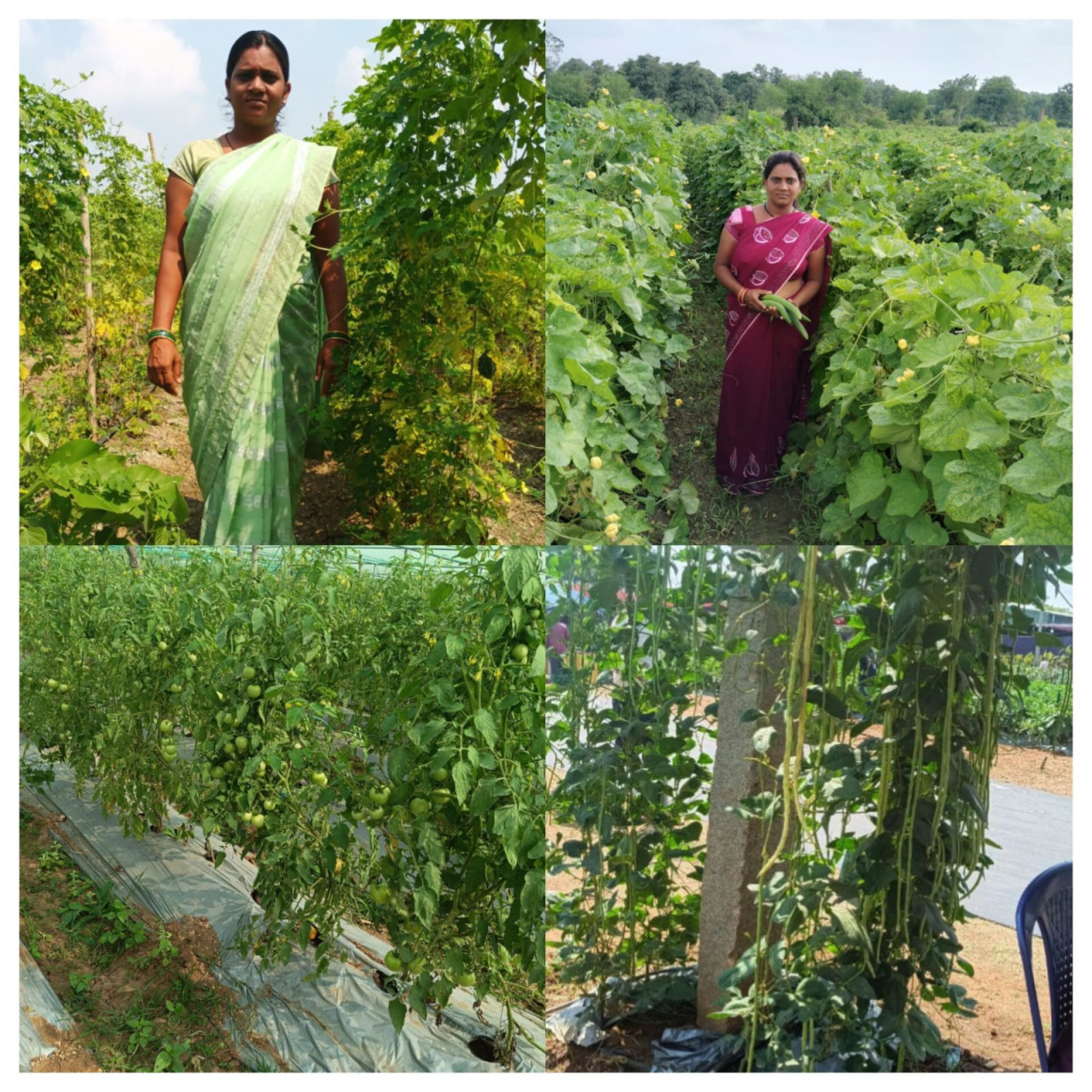 राष्ट्रीय ग्रामीण आजीविका मिशन: कर्ज के बोझ से मुक्त होकर आत्मनिर्भर बनी सुष्मिता जाटवर